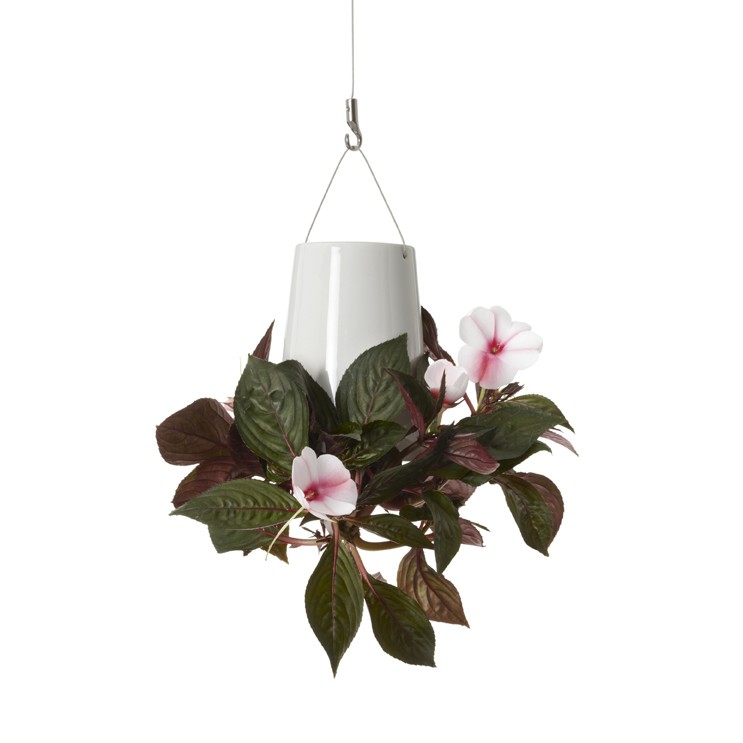 BOSKKE Sky Planter