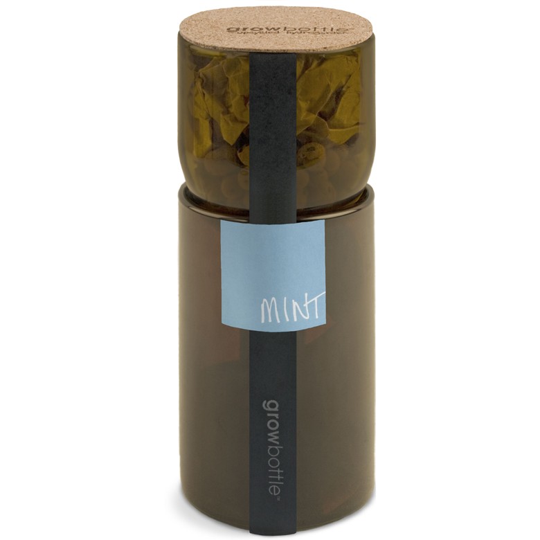 Grow Bottle - Mint