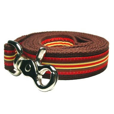 Ticking Stripe Lead - Small