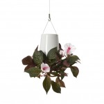 BOSKKE Sky Planter