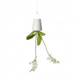 BOSKKE Sky Planter - Extra Small