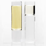 Revolution Champagne Flutes