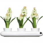 Sagaform Trio Herb Pot