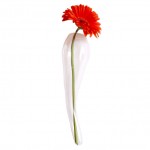 Wall Horn Vase by Chive