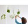 BOSKKE Sky Planter