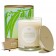Artemisian Lemongrass by KOBO Candle
