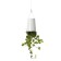 BOSKKE Sky Planter - Small