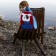 Go Fetch Dog Backpack