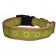 Green Flower Collar - Medium