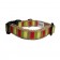 Mod Stripe Collar - XSmall
