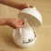 Paper Pot - White
