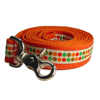 Collars & Leads